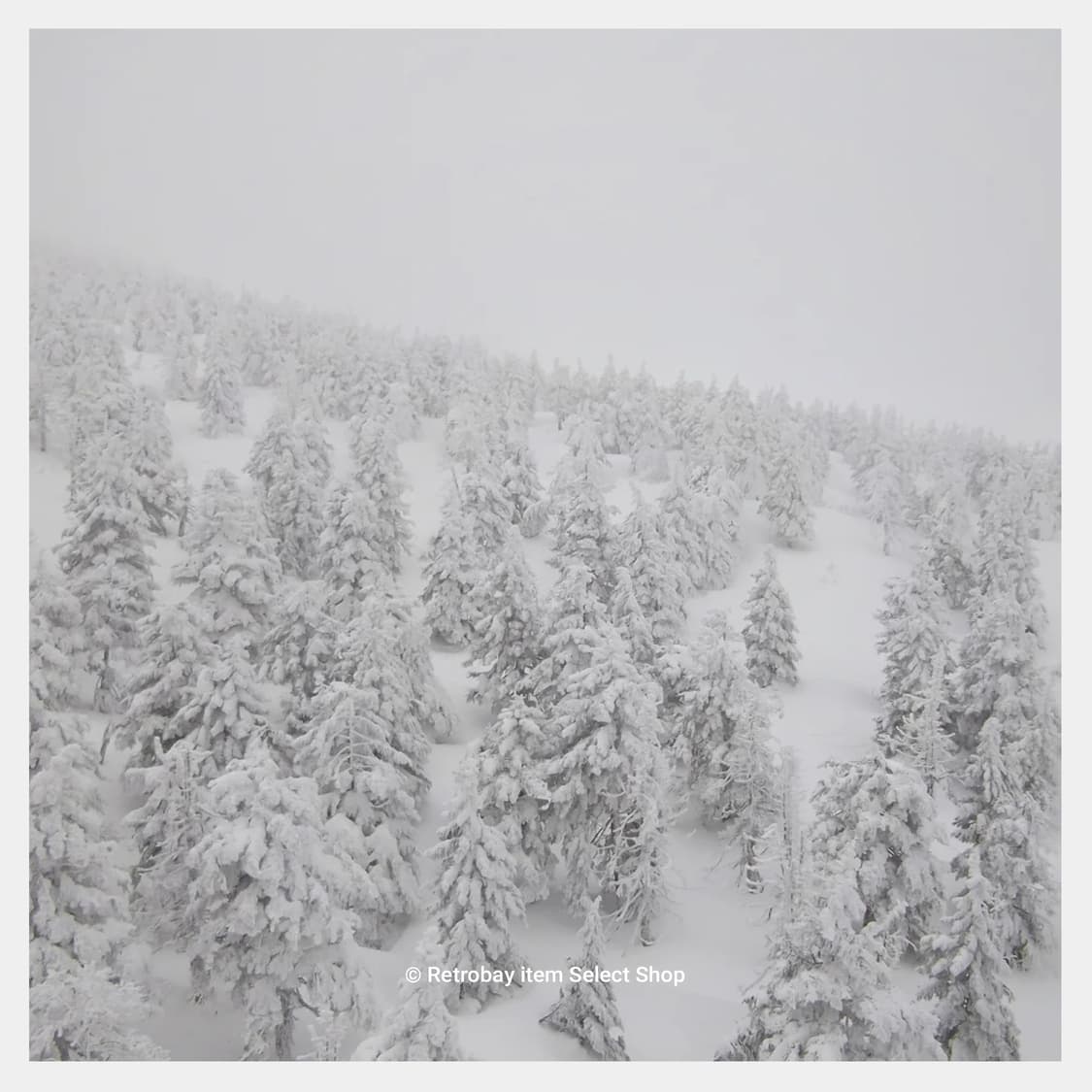 펜탁스 RS1500 + 아이폰5c 무료증정! 상품이미지8