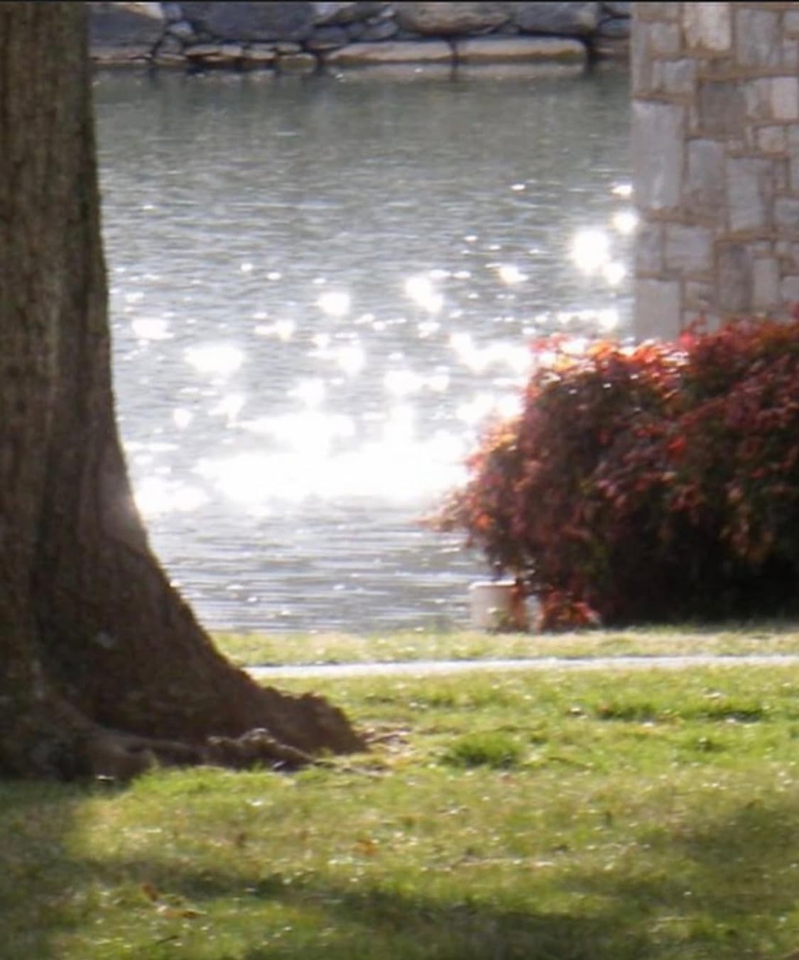 후지필름 파인픽스 Z200fd 핑크 💕 감성 셀카 최강 디카 ✨ 상품이미지10