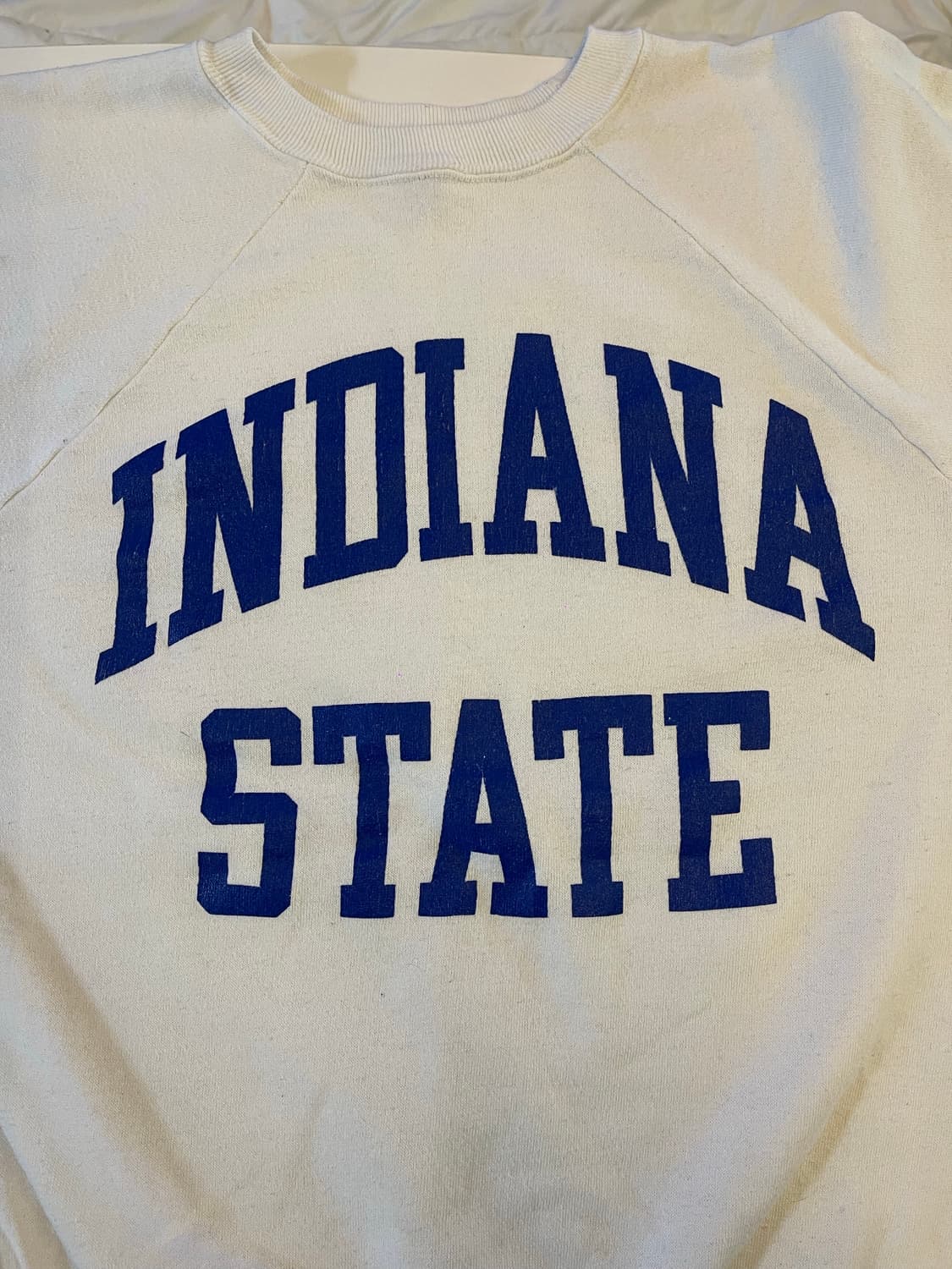 Vintage 챔피온 스웻셔츠 L 상품이미지1