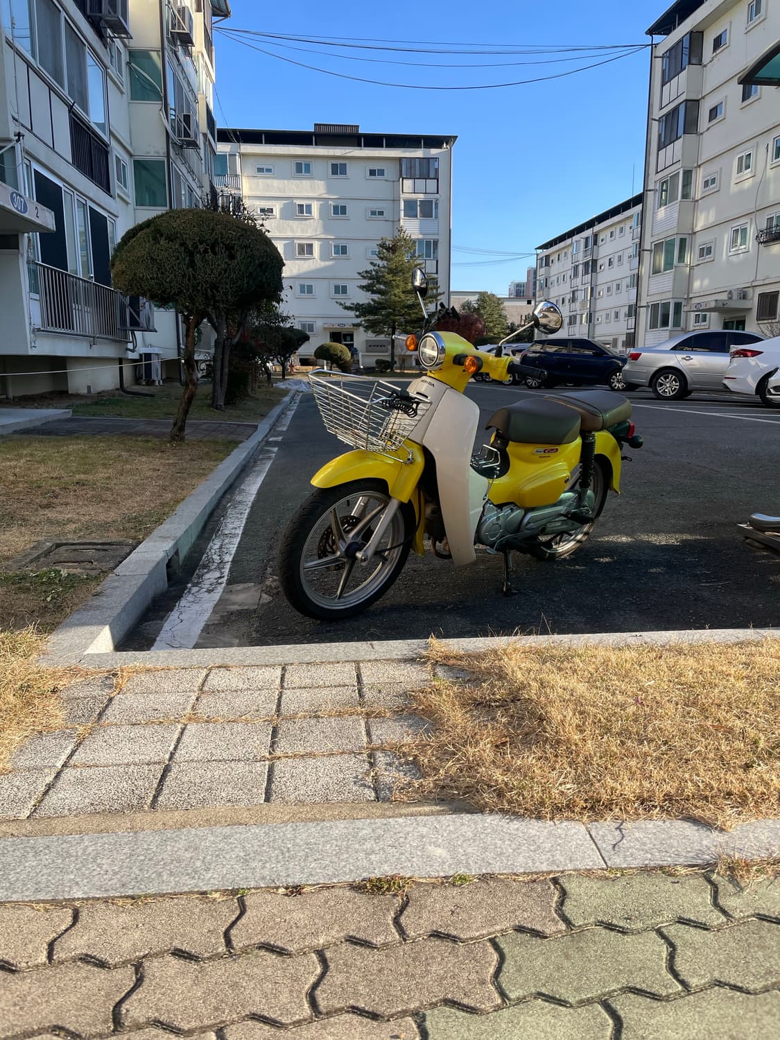 2020년식 옐로우 슈퍼커브 상품이미지1