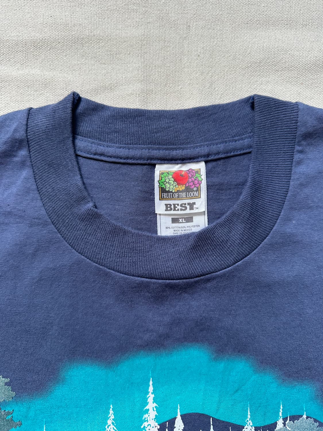 90s Fruit of the loom 펜실베니아 티셔츠 XL 상품이미지6