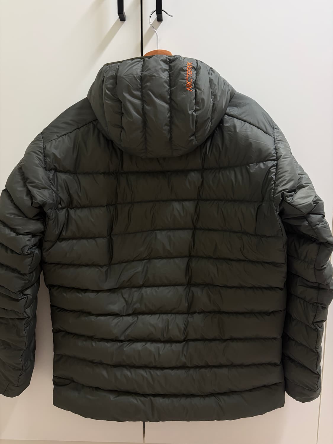 아크테릭스 세륨 후디 포리지 베르베 L 상품이미지8