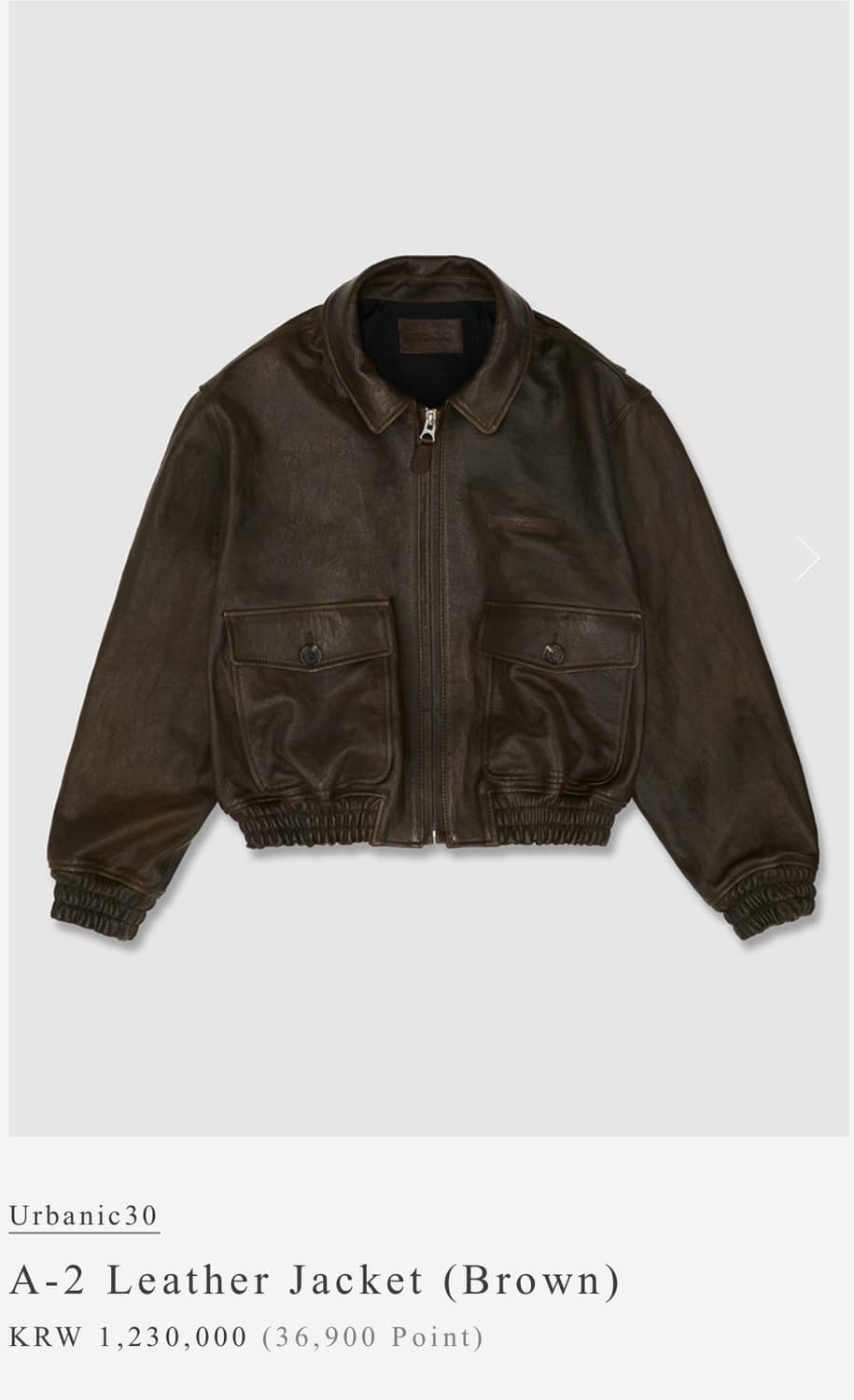 얼바닉 30 A-2 레더 자켓 상품이미지7
