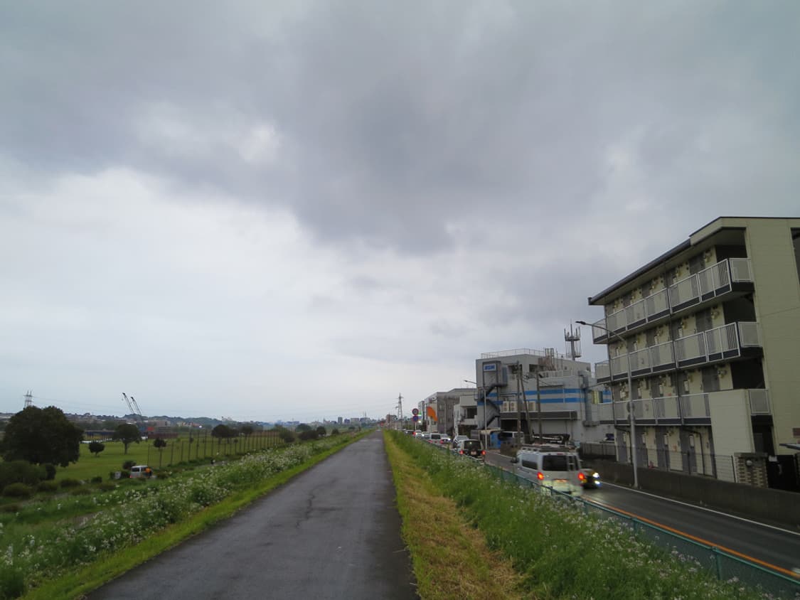 캐논 익서스 Canon IXUS 255 HS 블랙(IXY610F 익시 6 상품이미지3