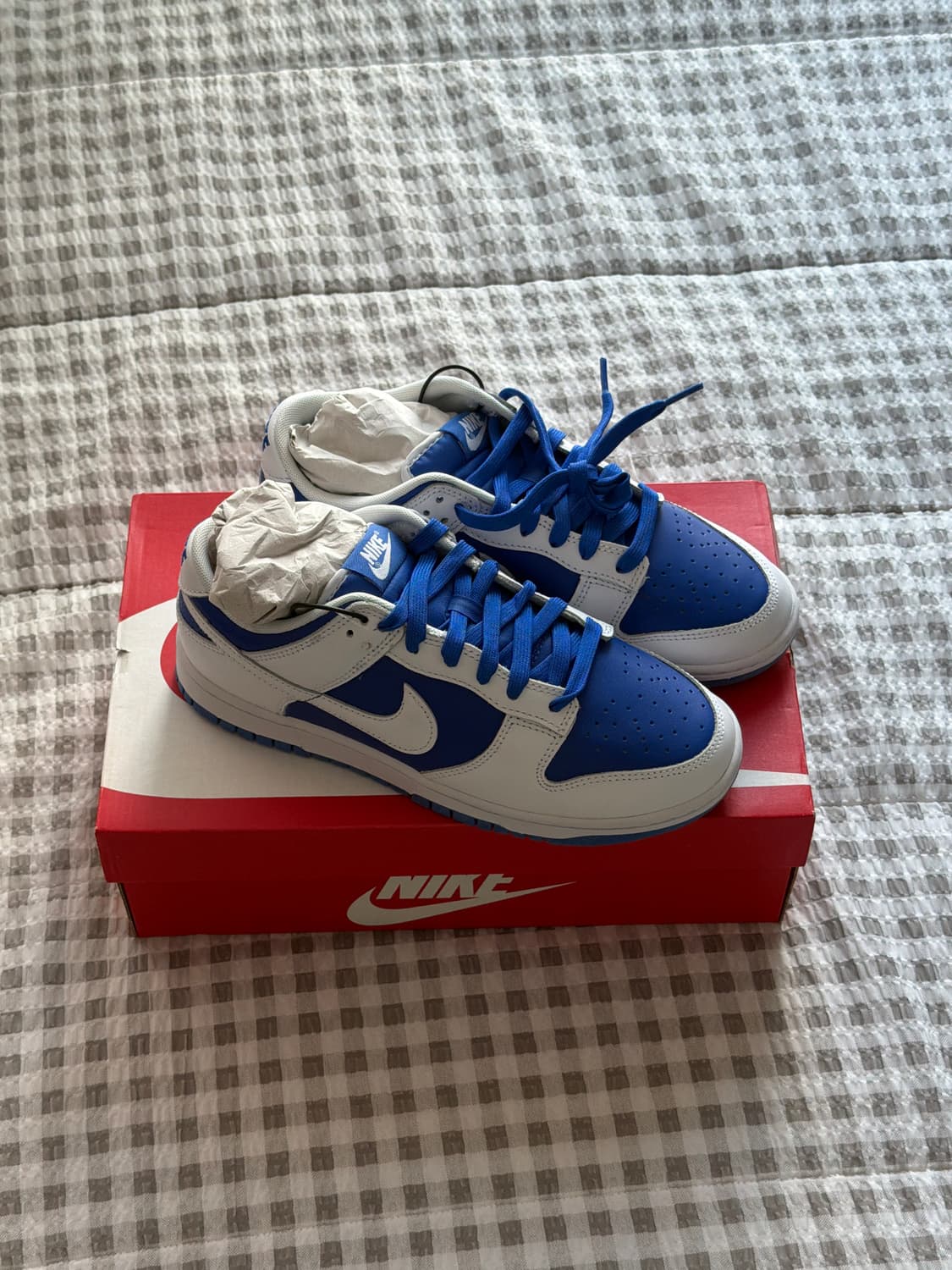 나이키 덩크 로우 레트로레이서  상품이미지1