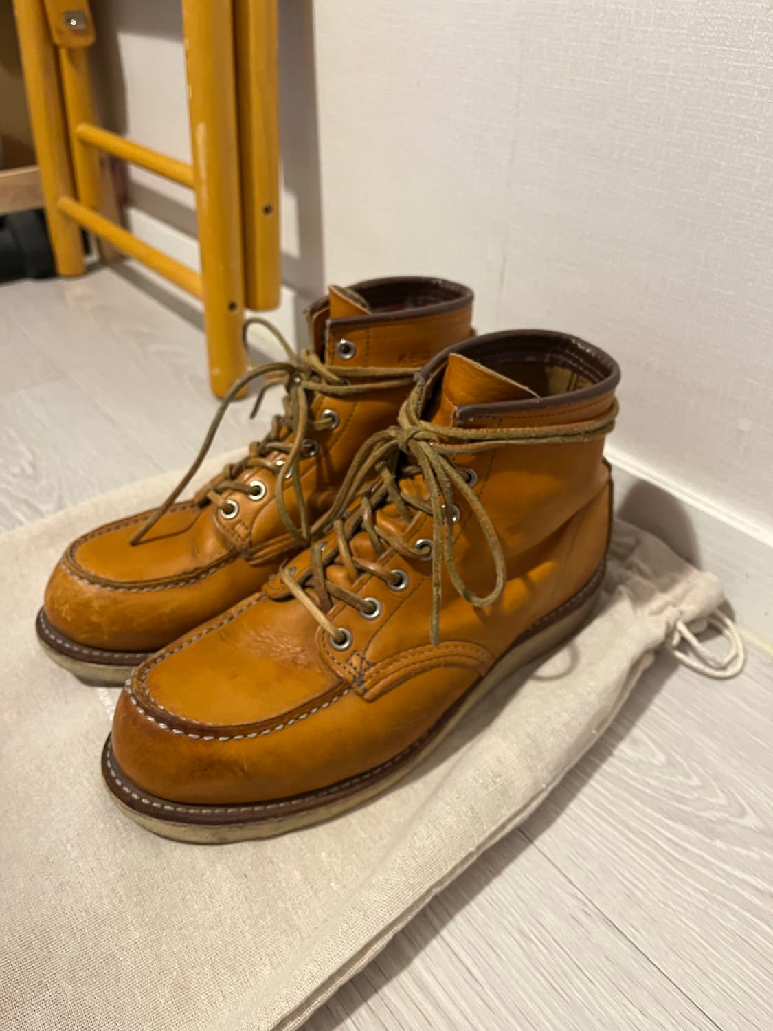 레드윙 아이리쉬세터 상품이미지1