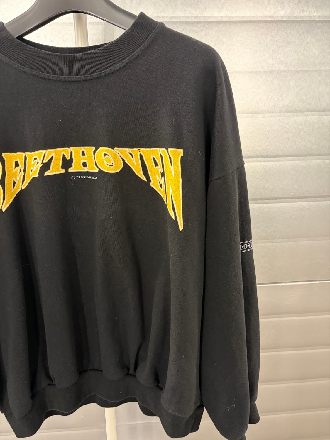 HERBIGHARO 박효신 베토벤 허비그하로 맨투맨 상품이미지4