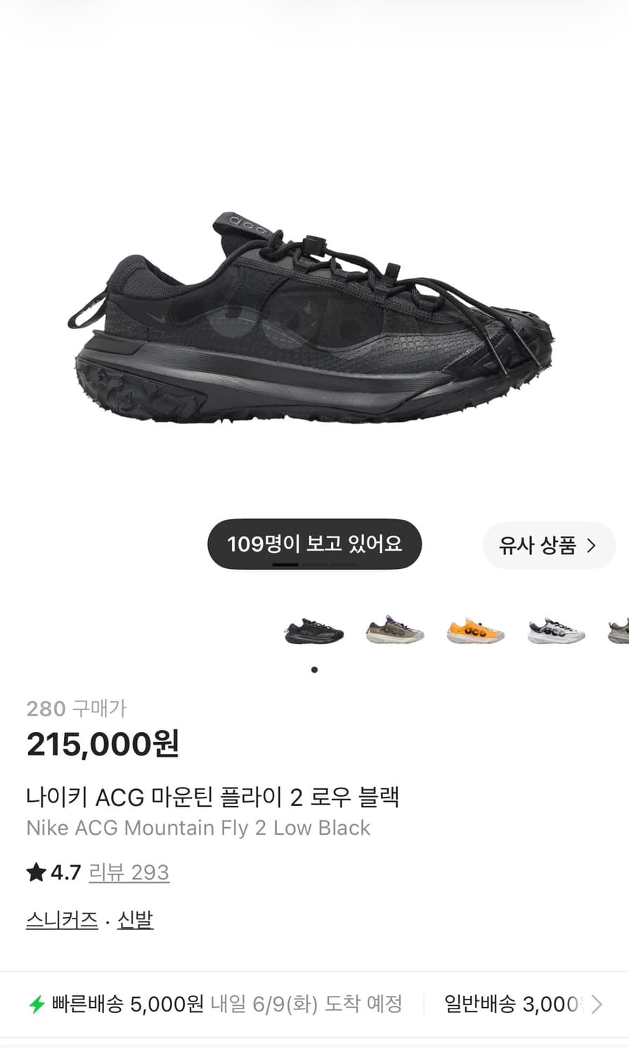나이키 ACG 마운틴 플라이 2 로우 블랙 280 상품이미지1