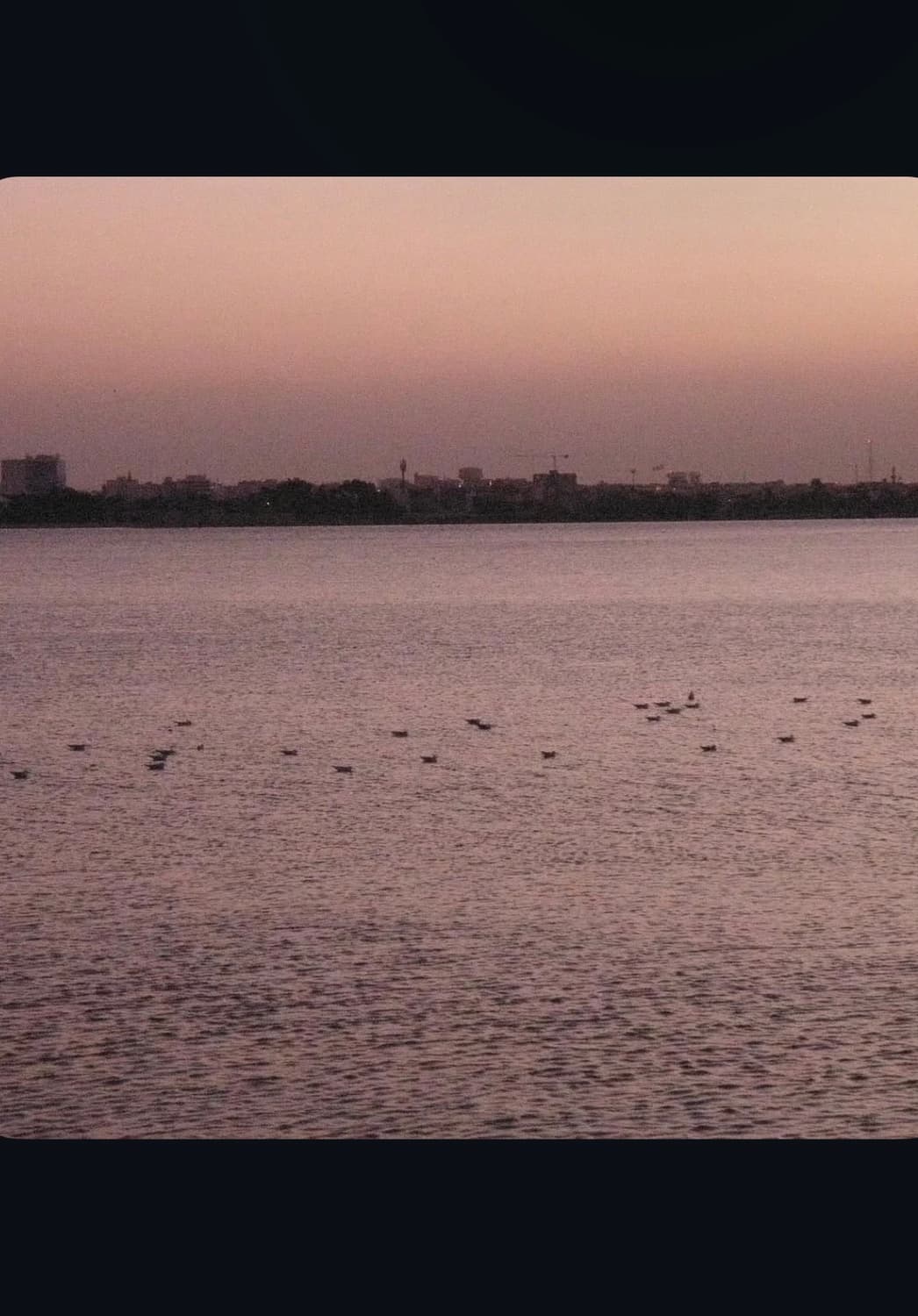 올림푸스 스타일러스 1050sw 디지털카메라 상품이미지9