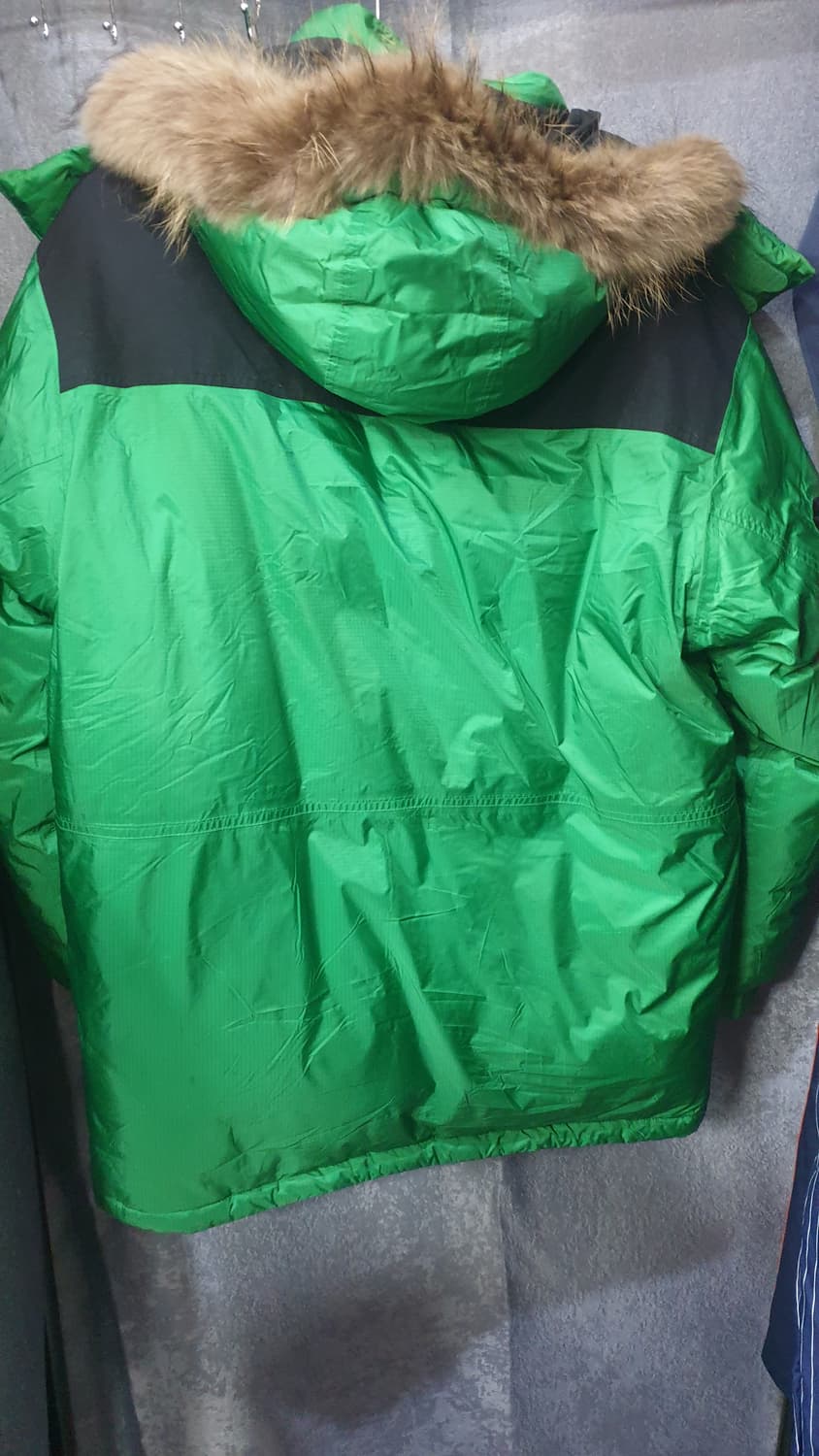 네파 에볼루션 800 구스다운 패딩 105 그린 상품이미지2