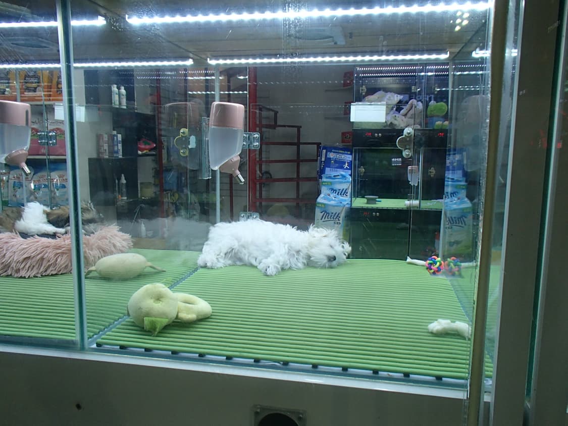 올림푸스 뮤 tough 6000 디카 (빈티지 카메라) 상품이미지7