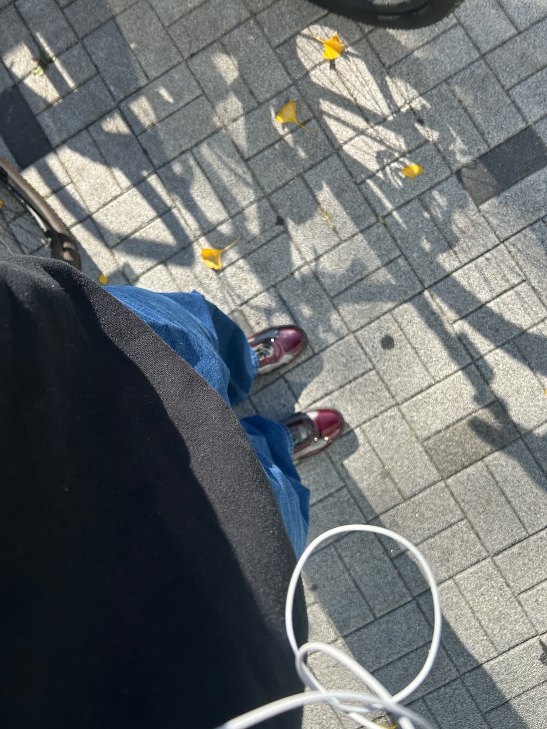 프라다 아메리카컵 유광레드 상품이미지3