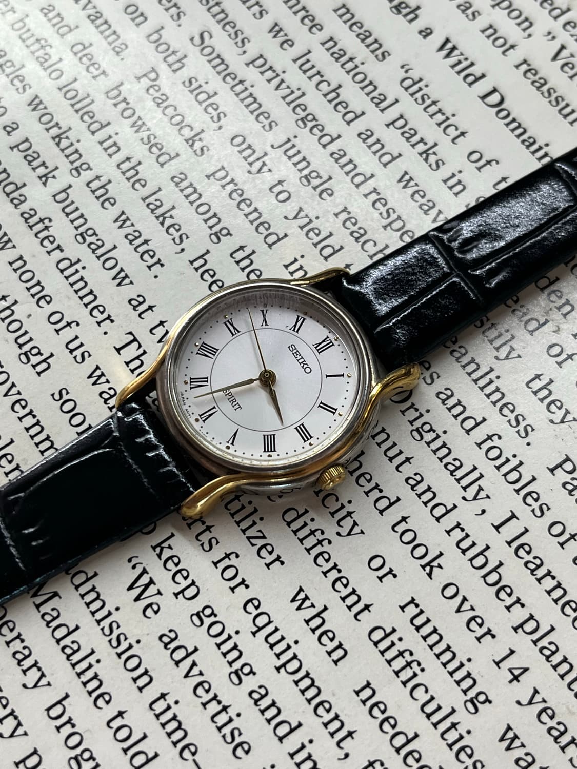 SEIKO SPIRIT 로마자 레이디스 쿼츠  상품이미지2