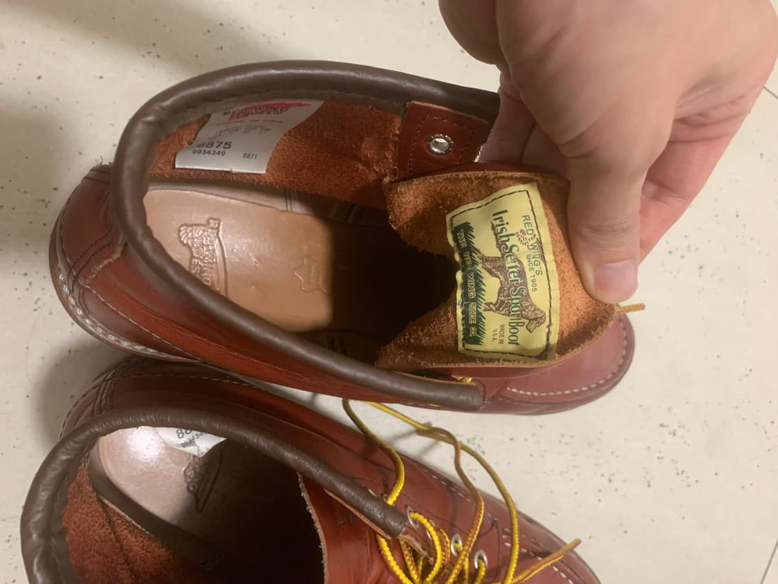 레드윙 8875 9e 아이리쉬세터 상품이미지8