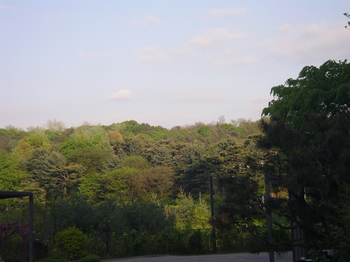 펜탁스 옵티오 33WR Pentax Optio 33WR ​ 상품이미지9