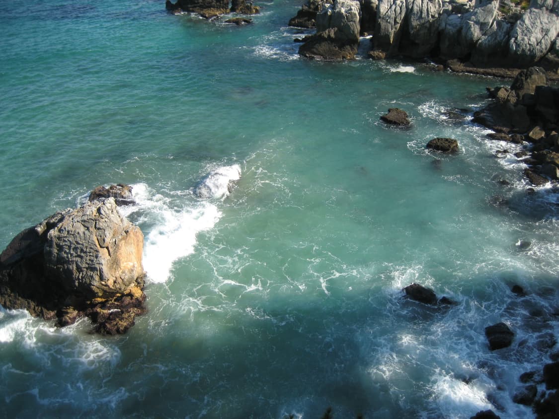 캐논 익서스 60 익시 70 상품이미지6