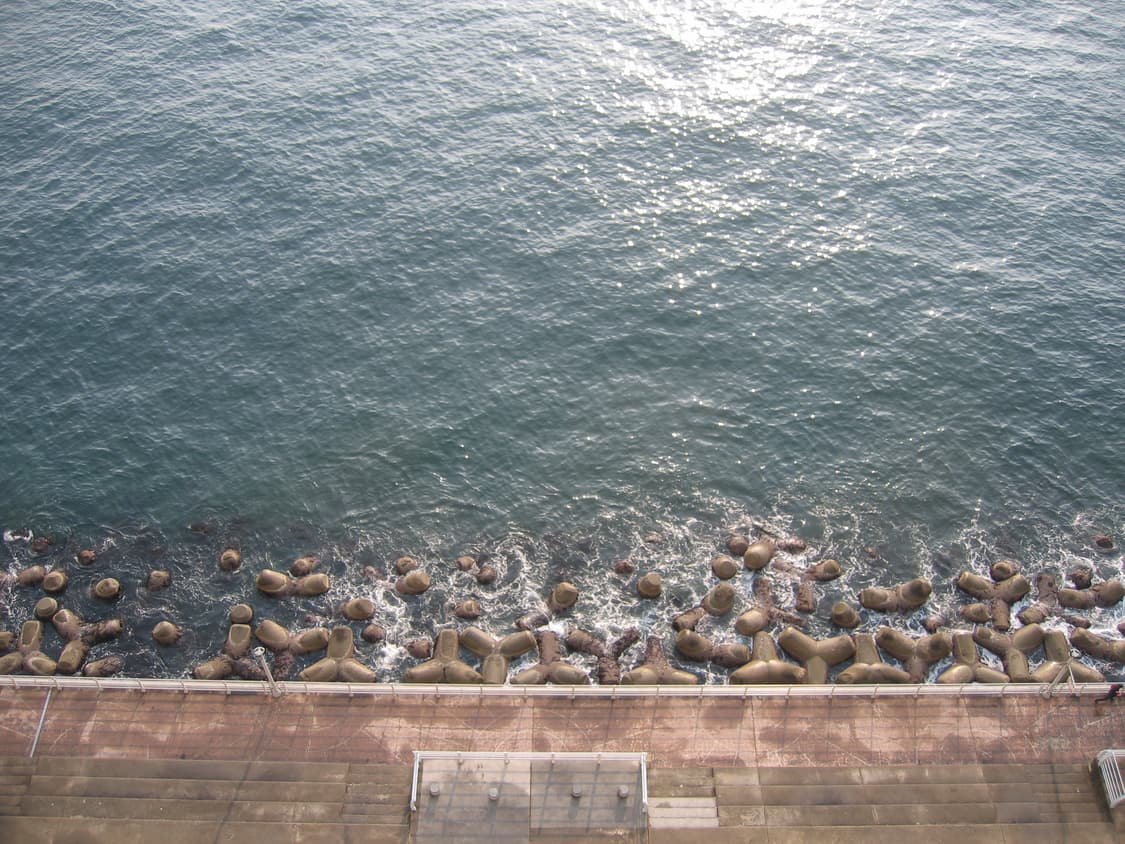 캐논 ixy 500 digital camera 상품이미지9