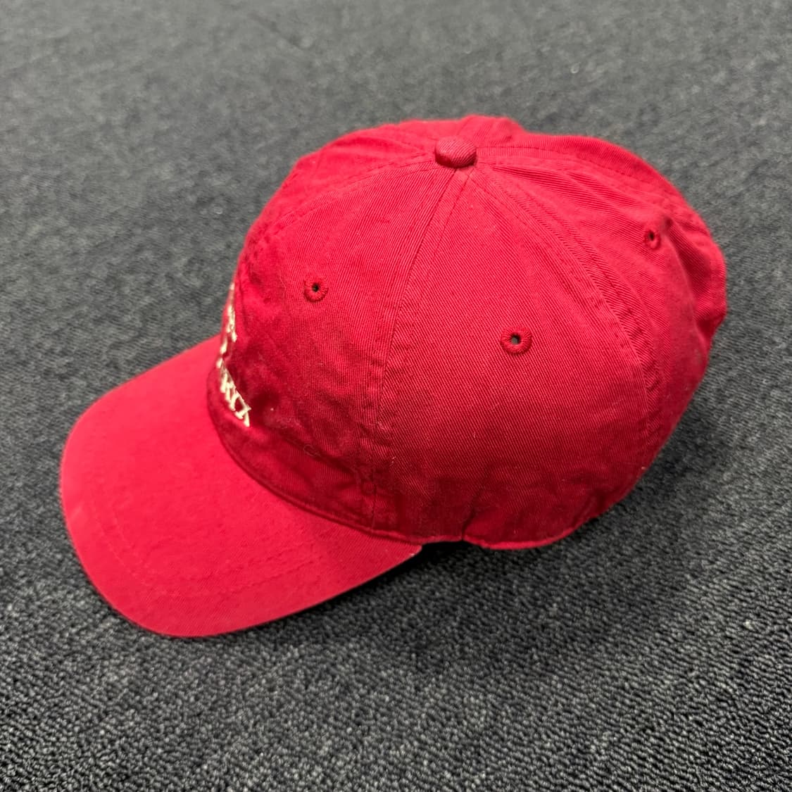 아크테릭스 엠브로이드 버드 볼캡 상품이미지2