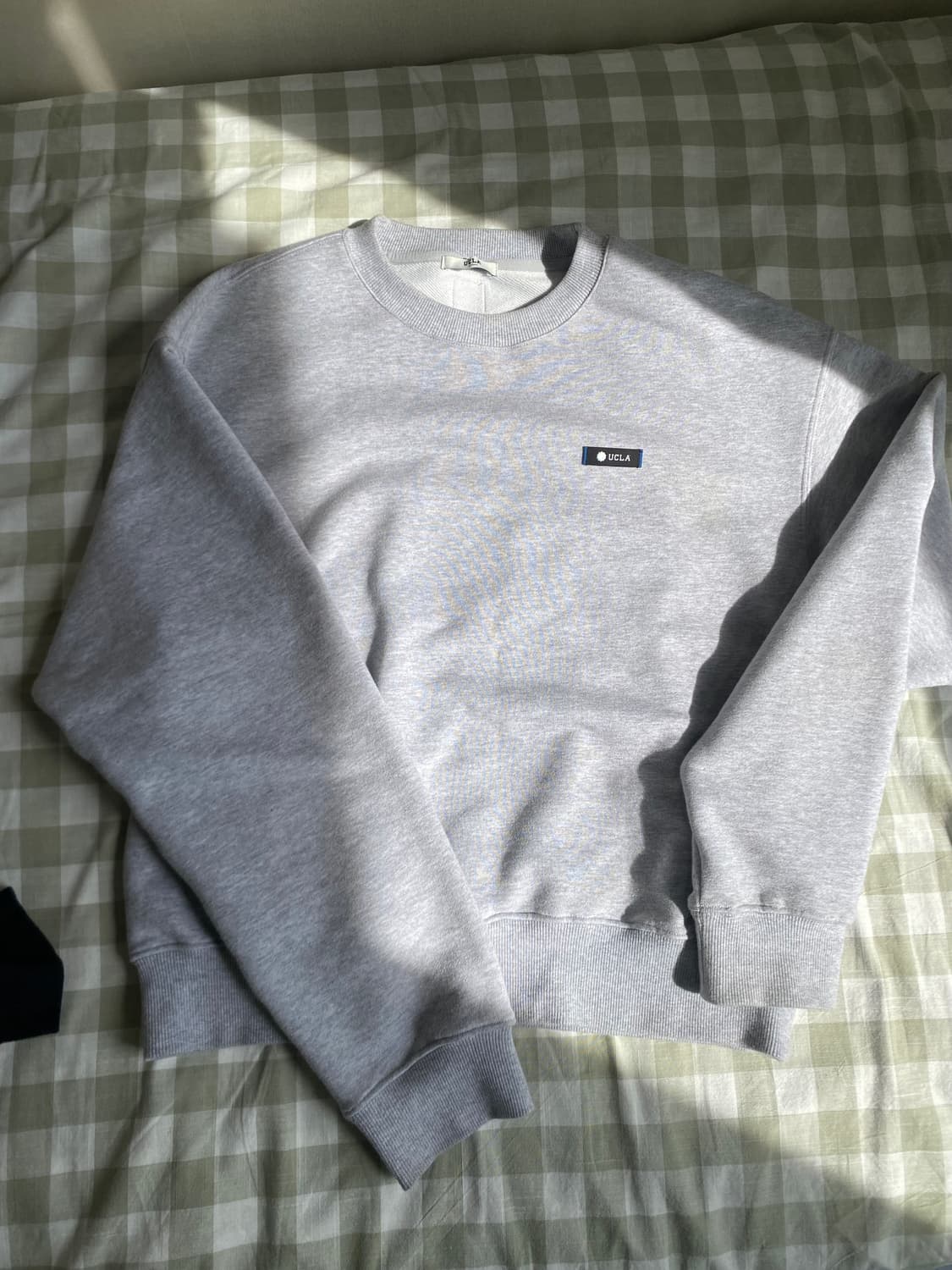 UCLA 크롭 맨투맨 상품이미지5