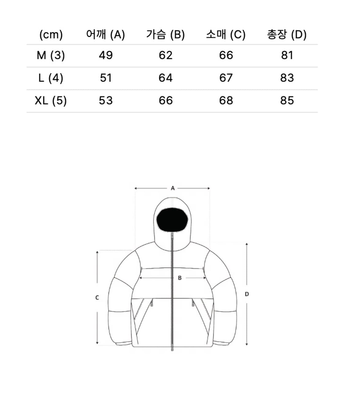 골드윈 / 고어텍스 스노우 레인지 다운자켓 상품이미지4