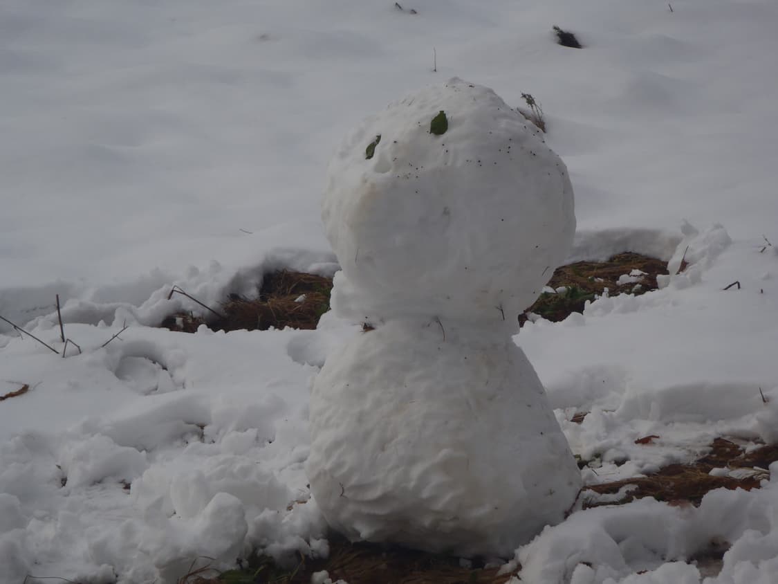 Olympus 뮤 Tough 6020 디카 캠코더 (작례o) 상품이미지8