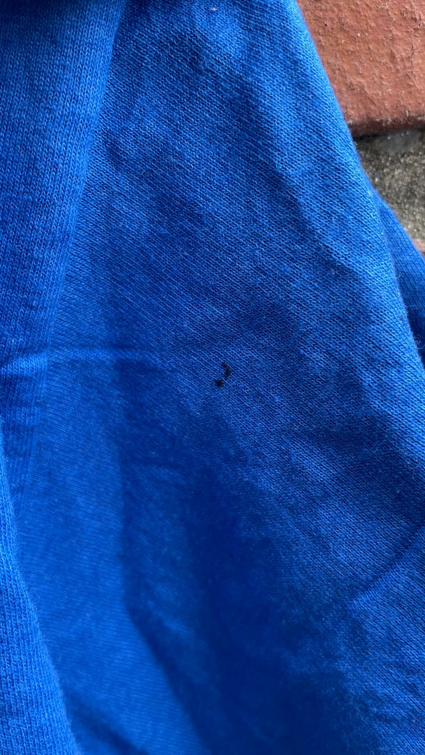 [Hanes] 크로포드 카리부 블루 티셔츠 상품이미지9