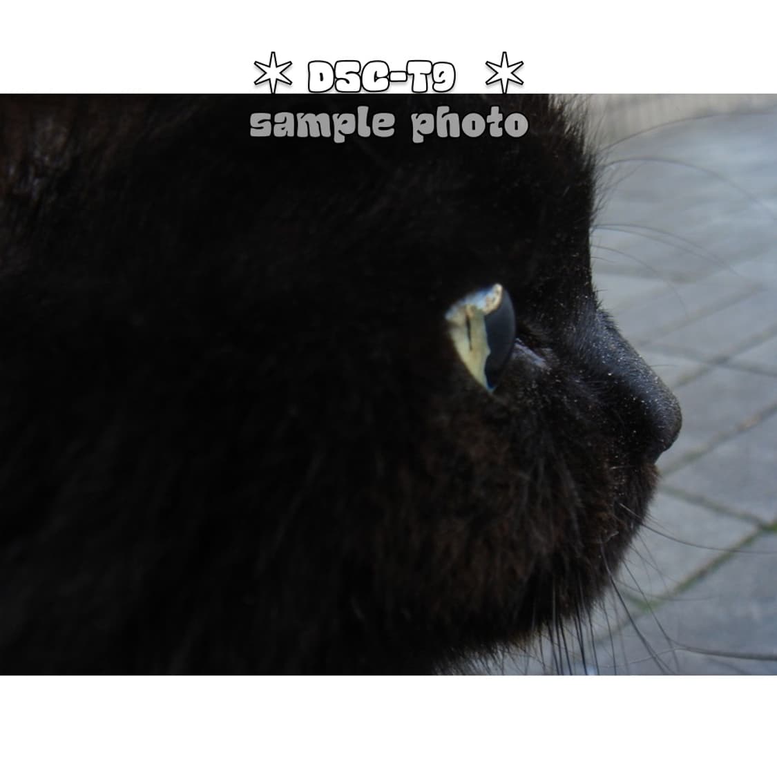 소니 사이버샷 DSC-T9 빈티지 디카 실버 상품이미지10