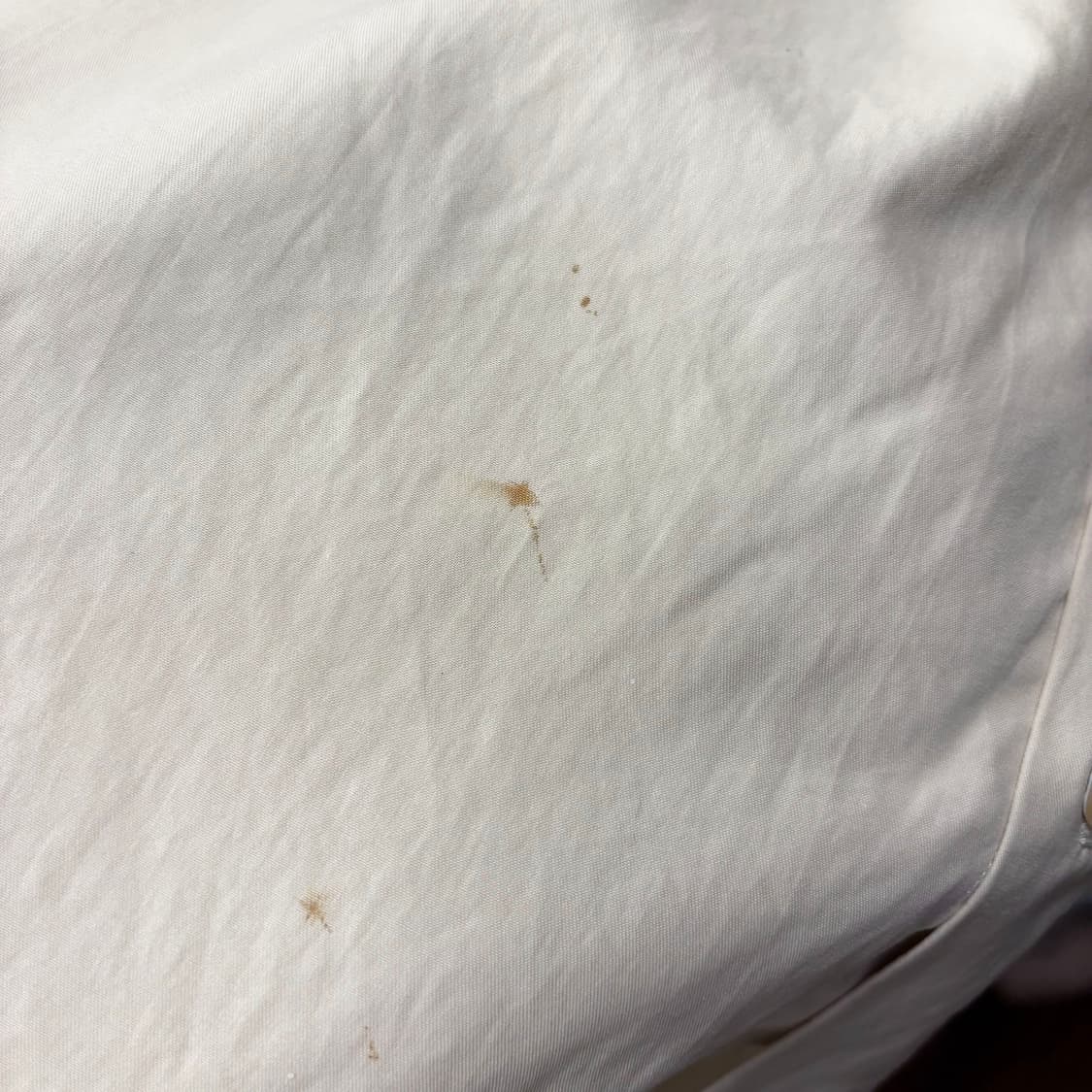 오라리 베이직 코튼 셔츠 스프레드 카라 싱글 포켓 디테일 아이보리 상품이미지8