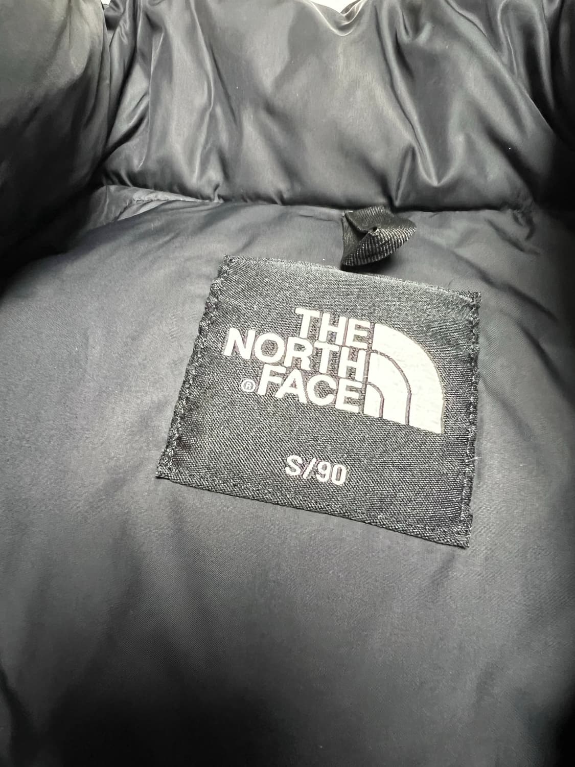 1996 에코 눕시 REAL BLACK 상품이미지5