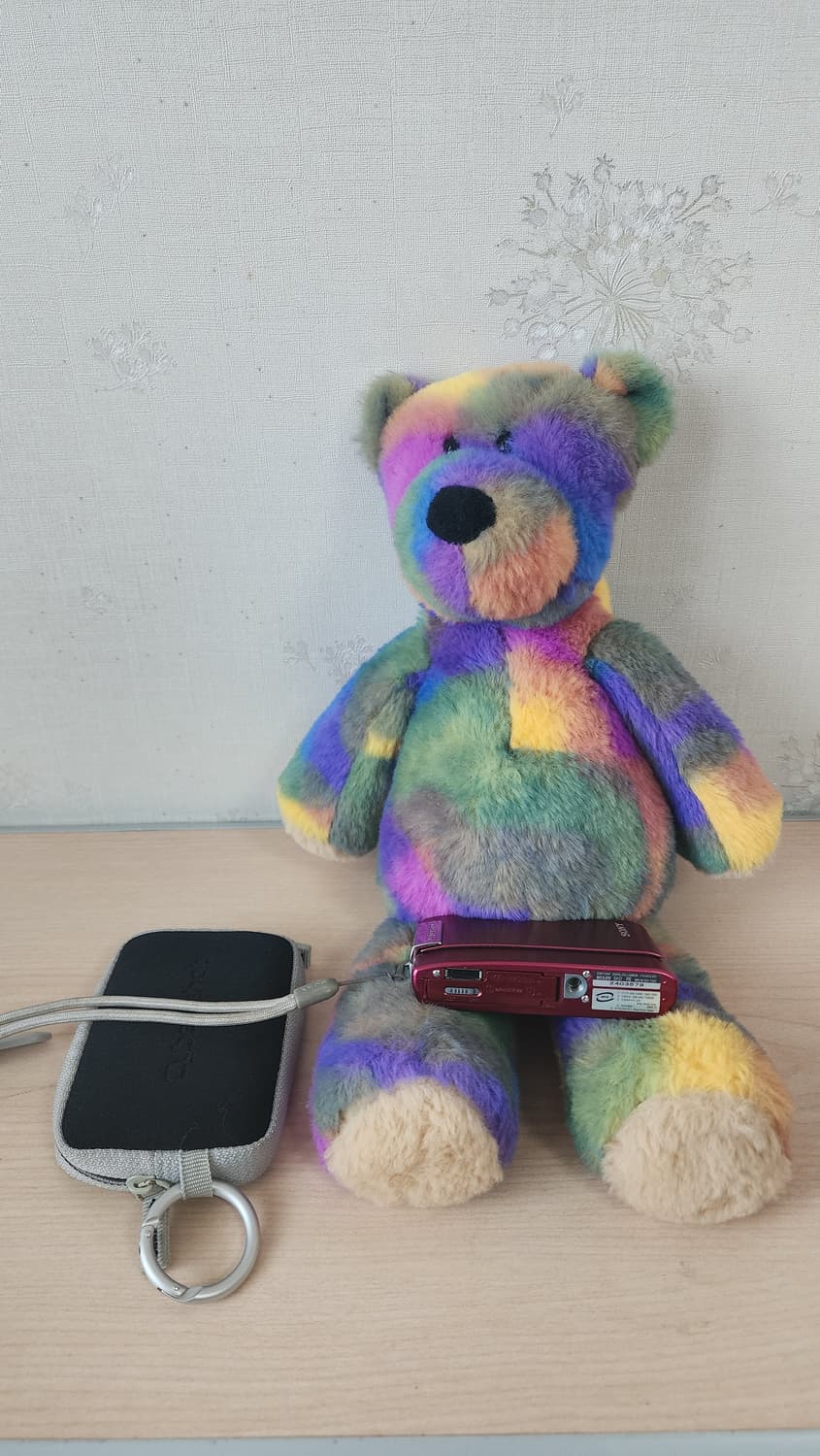 소니 디지털 카메라 DSC-T200 상품이미지4