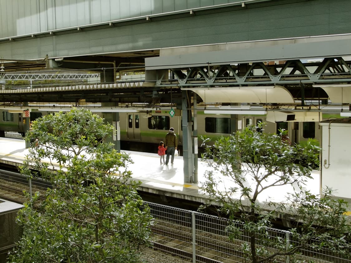 후지필름 파인픽스 FUJIFILM FinePix F80 EXR 실버 상품이미지5