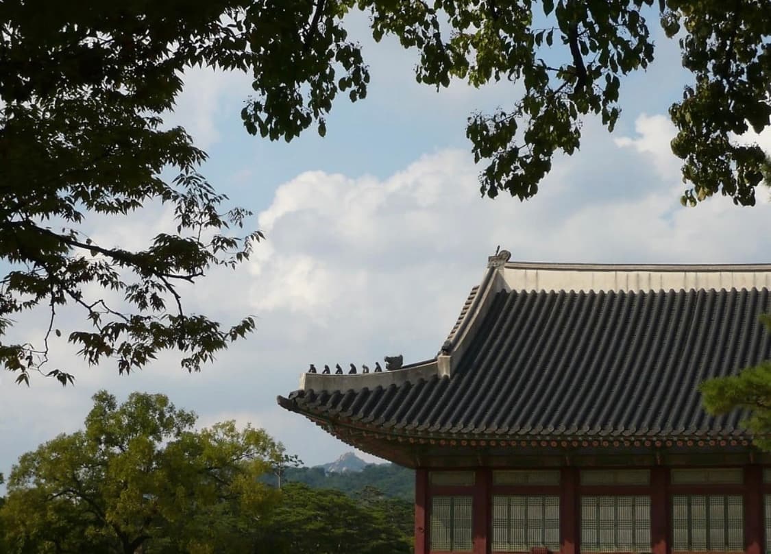 Leica c-lux2 소장급) 빈티지 하이엔드 카메라 작례 O 상품이미지6