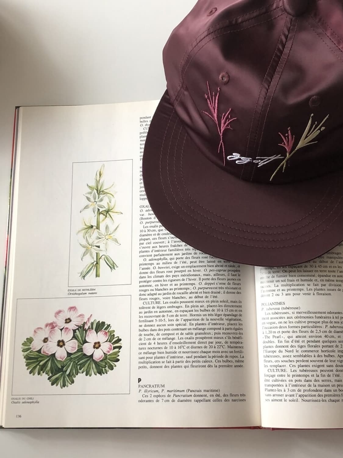 [1회착] ggott Satin cap (Burgundy) 상품이미지2