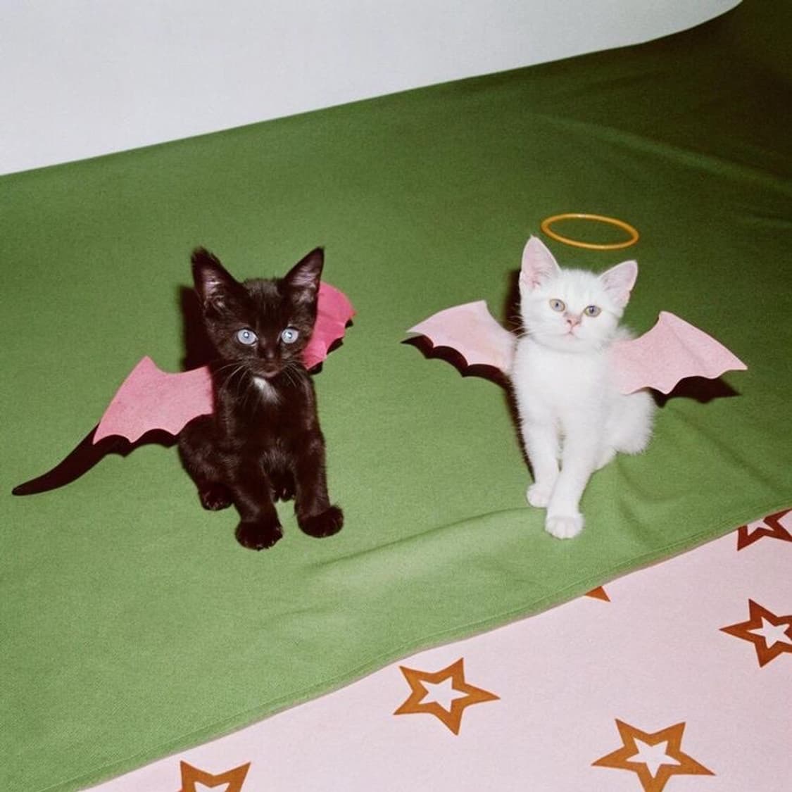 Xx님 개인결제창 상품이미지1