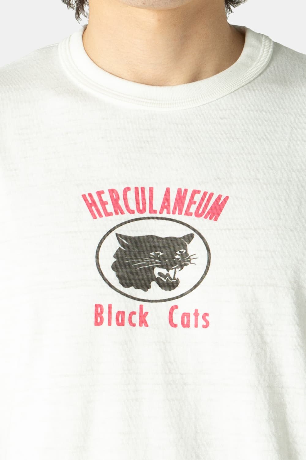 [XL] 웨어하우스 EXCLUSIVE LOT 4601 BLACK CAT 상품이미지5