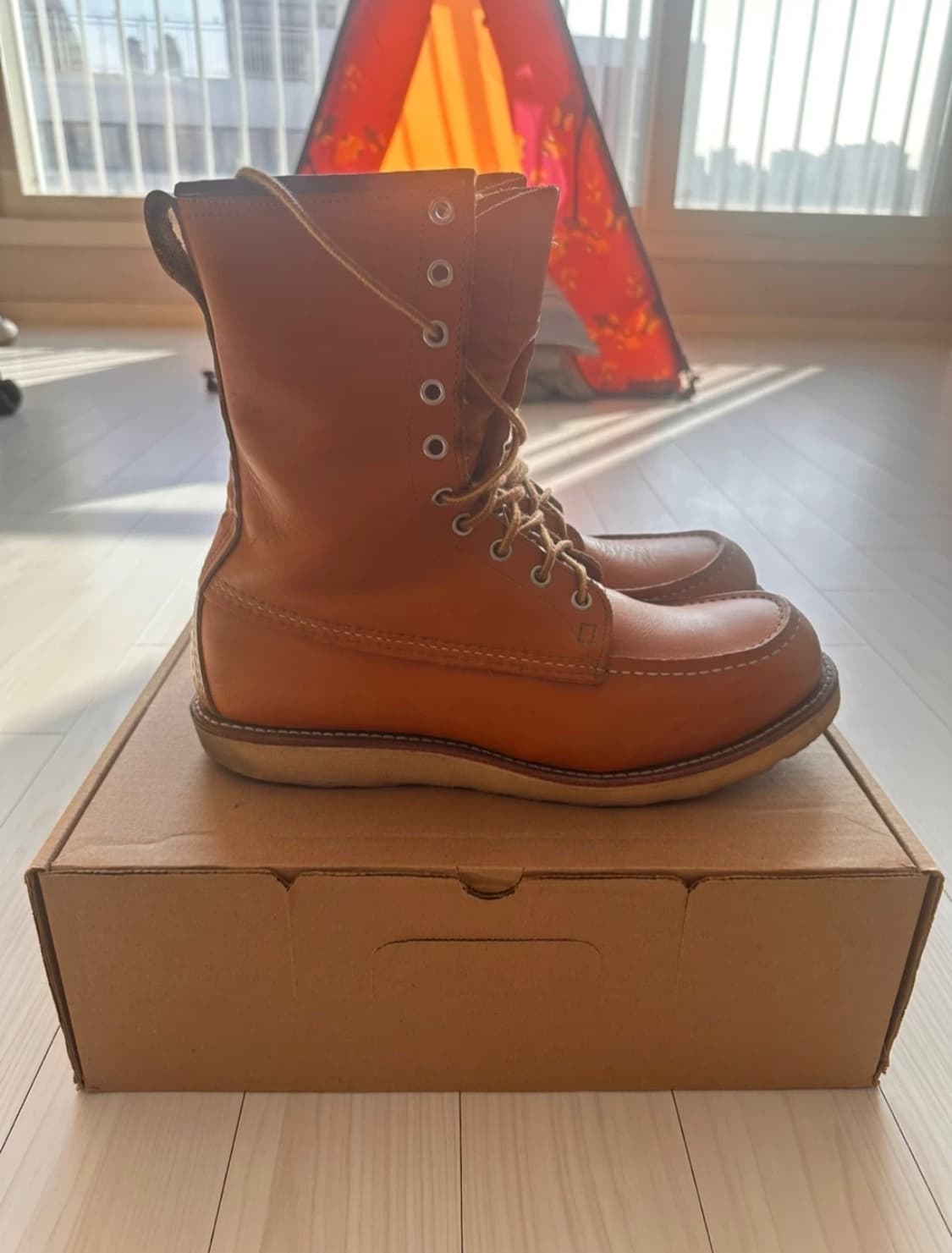 레드윙 9877 아이리쉬세터 275mm  상품이미지3