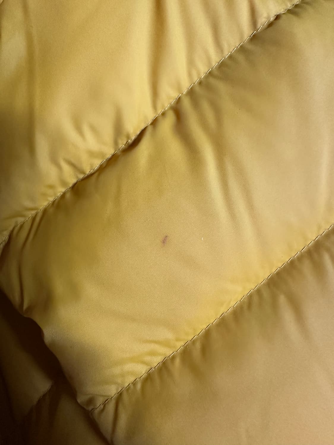 피엘라벤 우먼 익스페디션 팩 다운 후디 패딩 머스타드 옐로우 s 상품이미지4