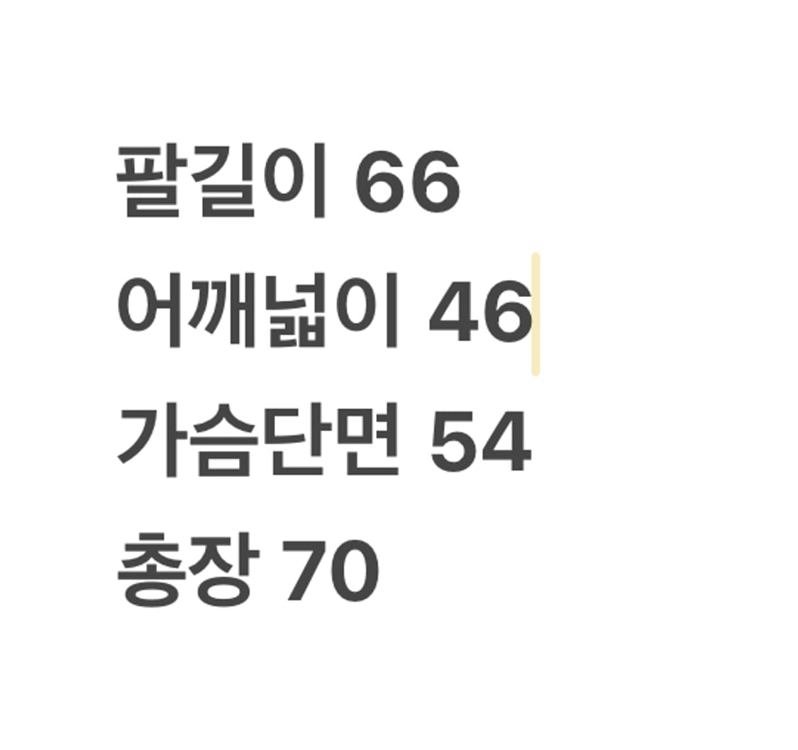 [정품/L] 나이키 acg 구스다운패딩 100 상품이미지10