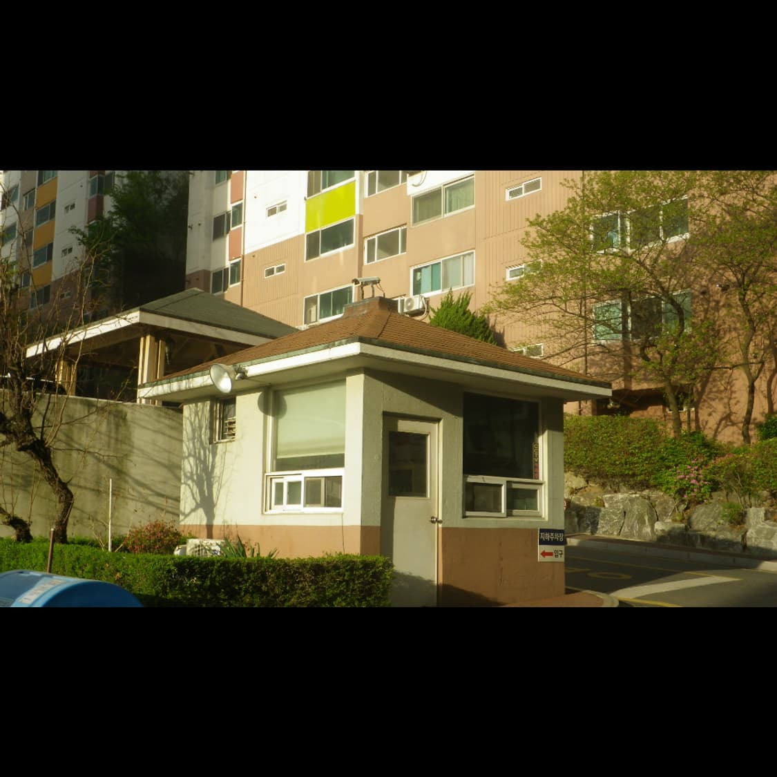 작례⭕️ 펜탁스 옵티오 WG-1 상품이미지6