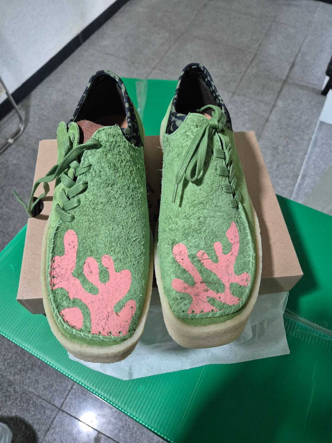 클락스X살레해뱀버리 UK8 새상품 상품이미지2