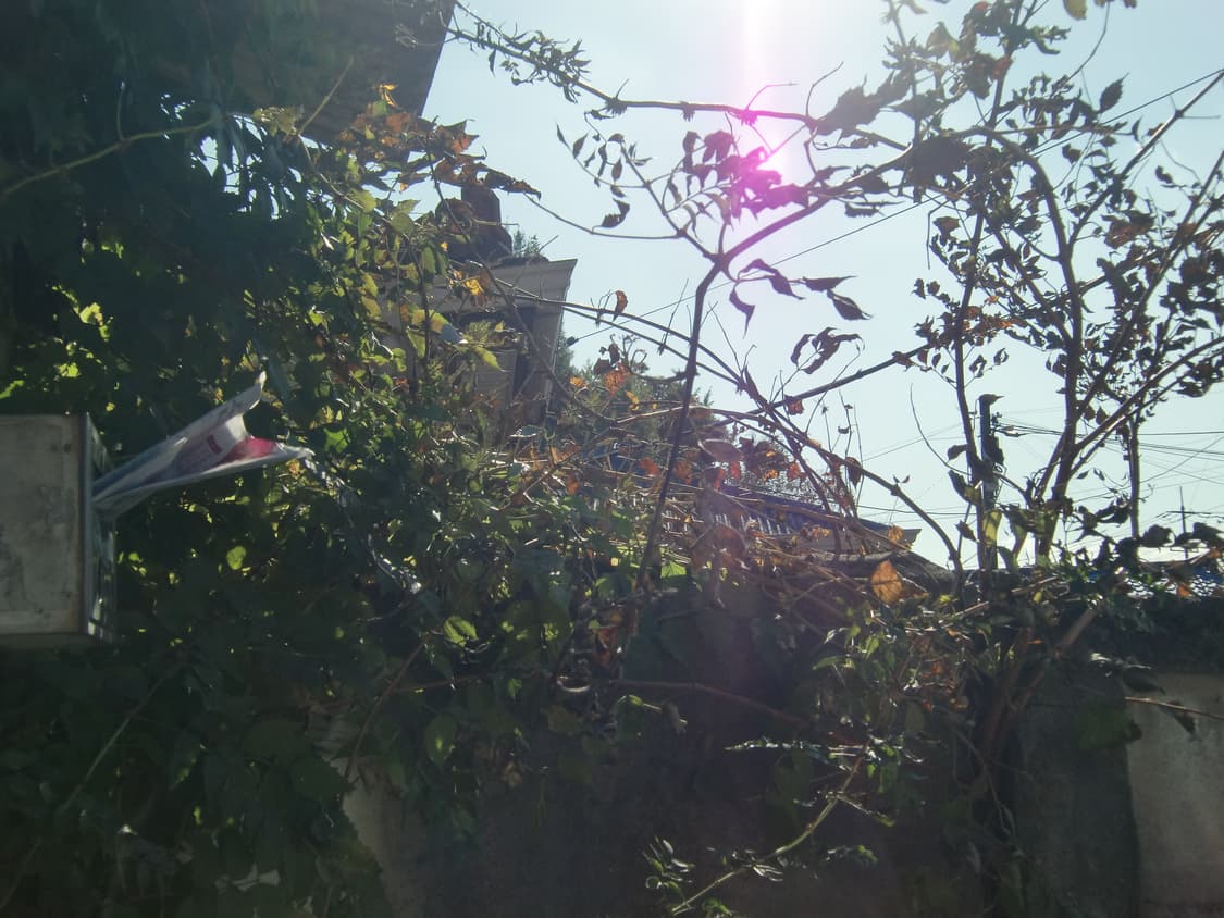 카시오 엑슬림 h10 상품이미지5