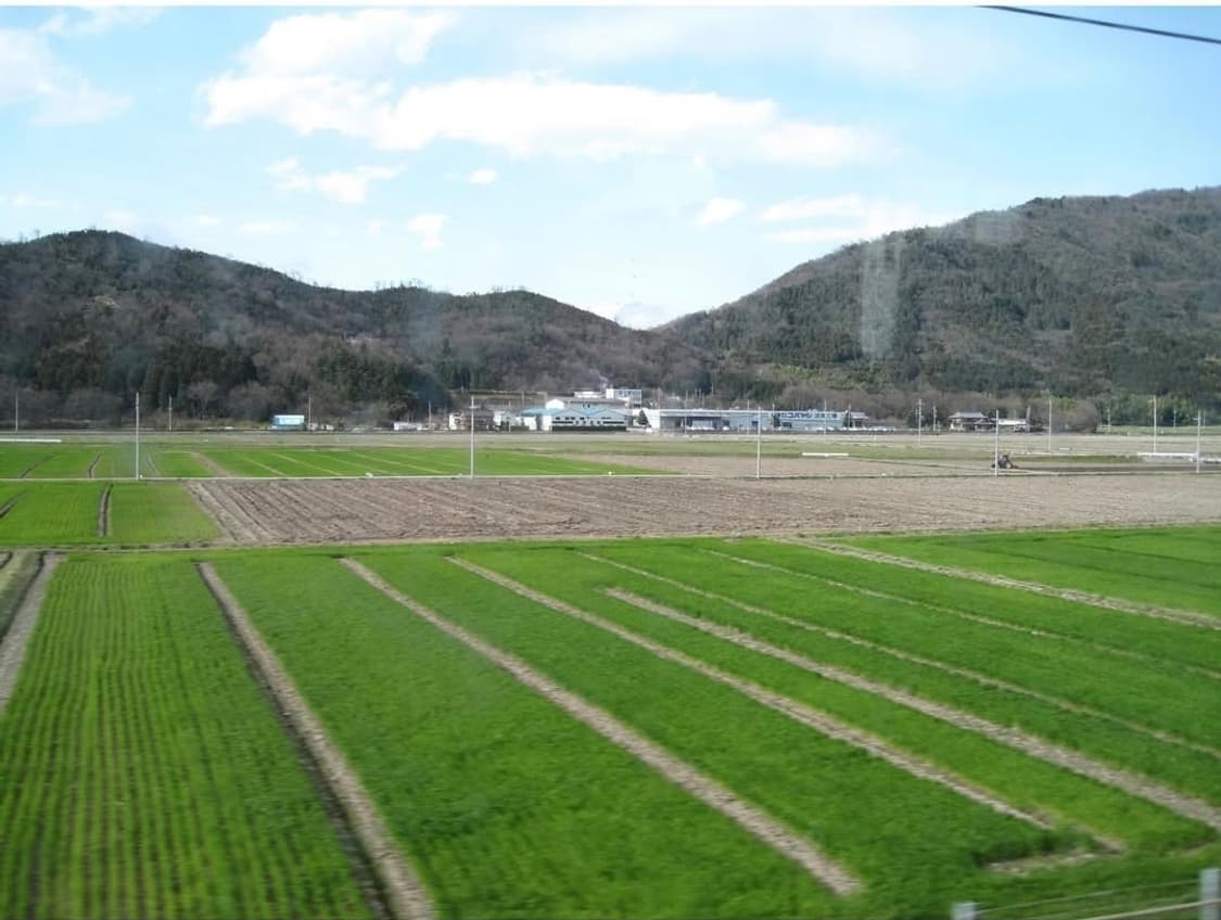 풀박📦Canon IXY PC 1060 브론즈 🤎 클래식 + 색감 ❣️ 상품이미지10