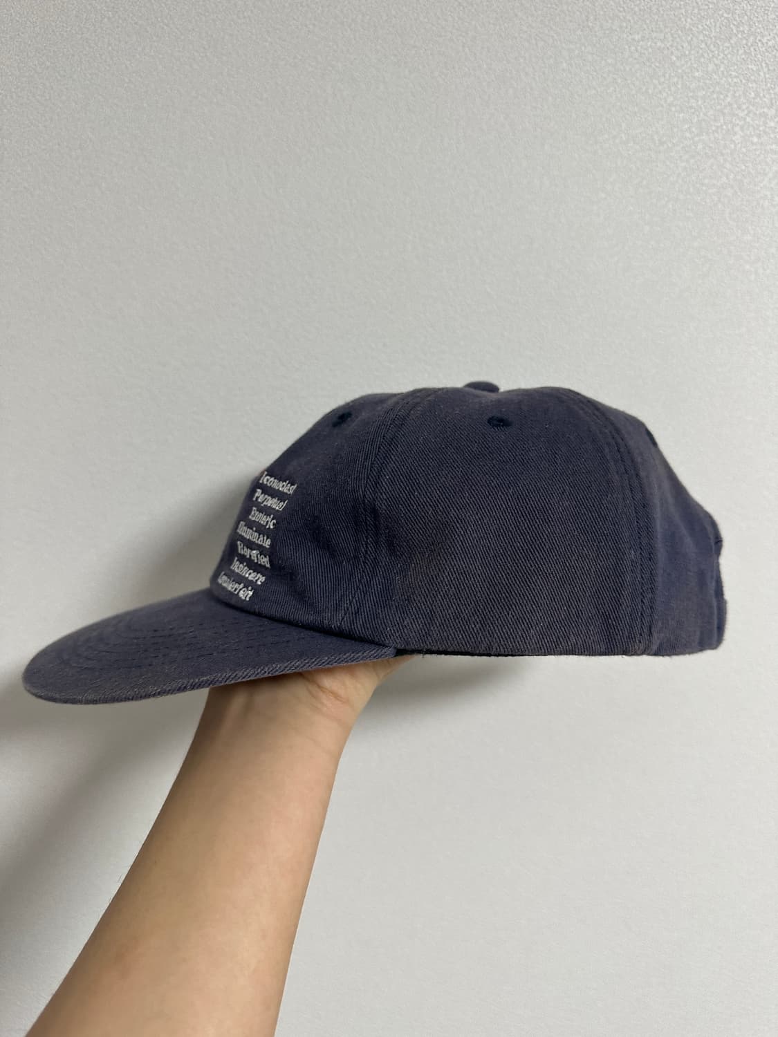 패슬 워시드캡 상품이미지3