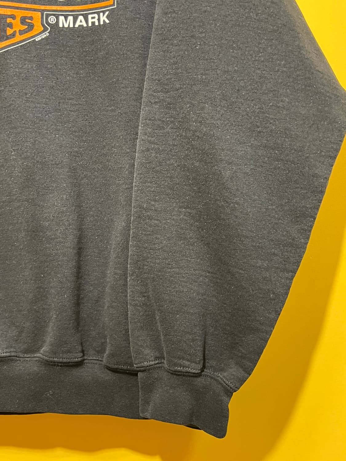 [L] 할리데이비슨 SLIVER EAGLE 맨투맨 블랙 스웨트셔츠 상품이미지5