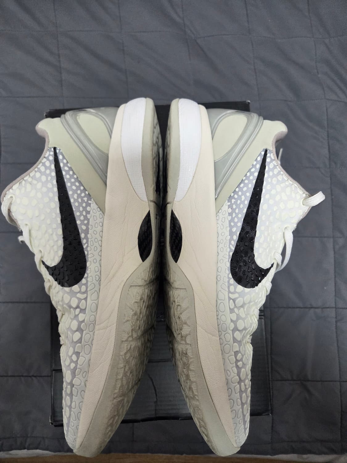 코비 6 세일 285 (자세한 내용은 문의) 상품이미지3