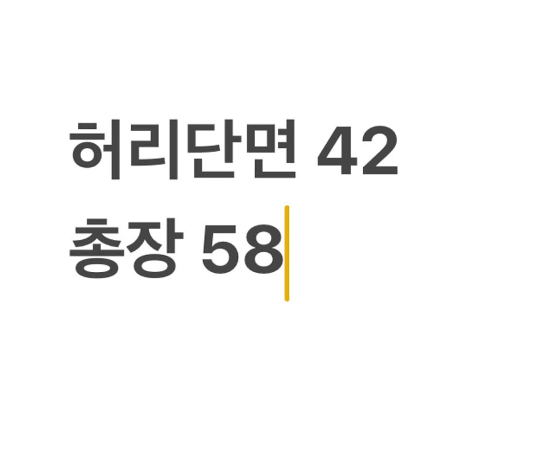 리바이스 워크웨어 카고 버뮤다팬츠 상품이미지5