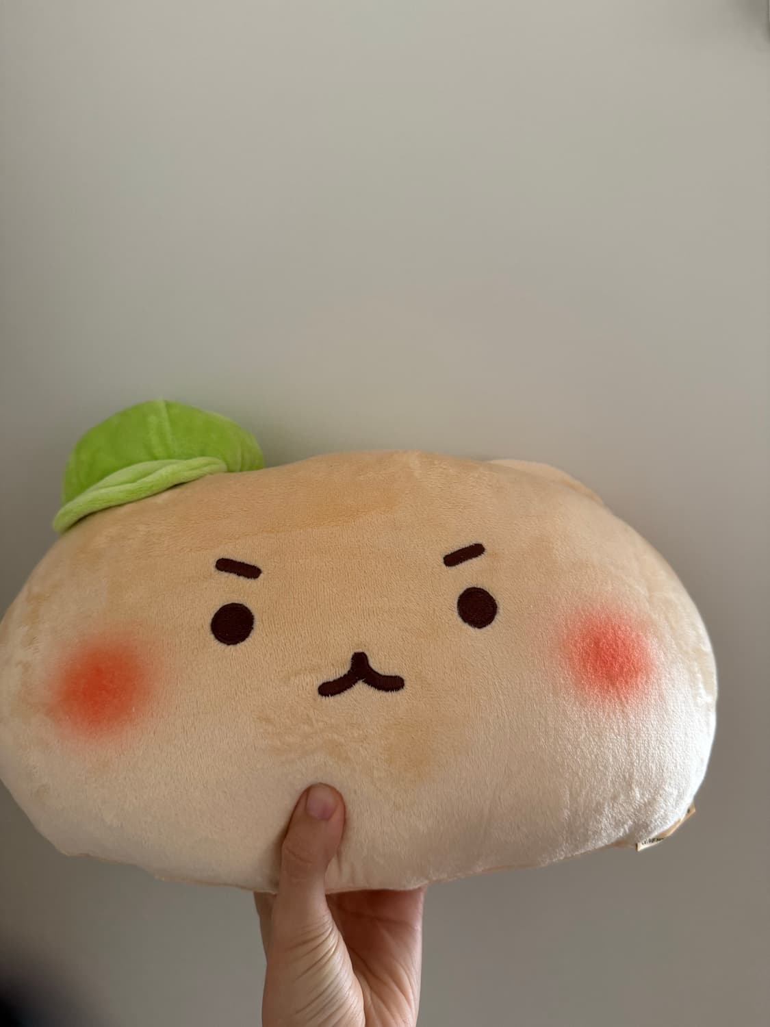 새상품) 망곰이 담요+쿠션  상품이미지1