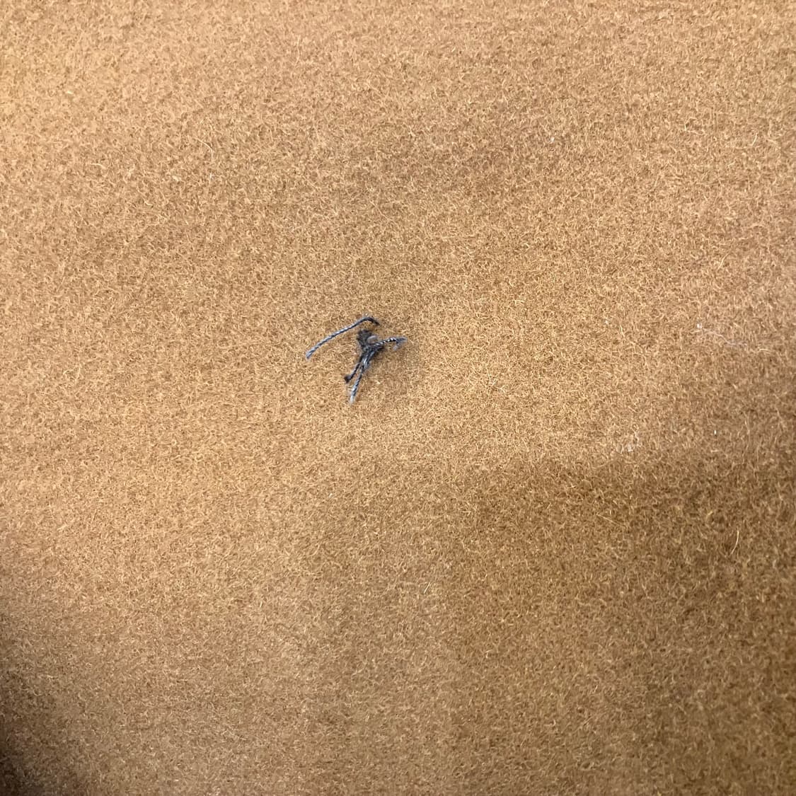 Y’s 요지야마모토 더블 브레스티드 울코트  상품이미지5