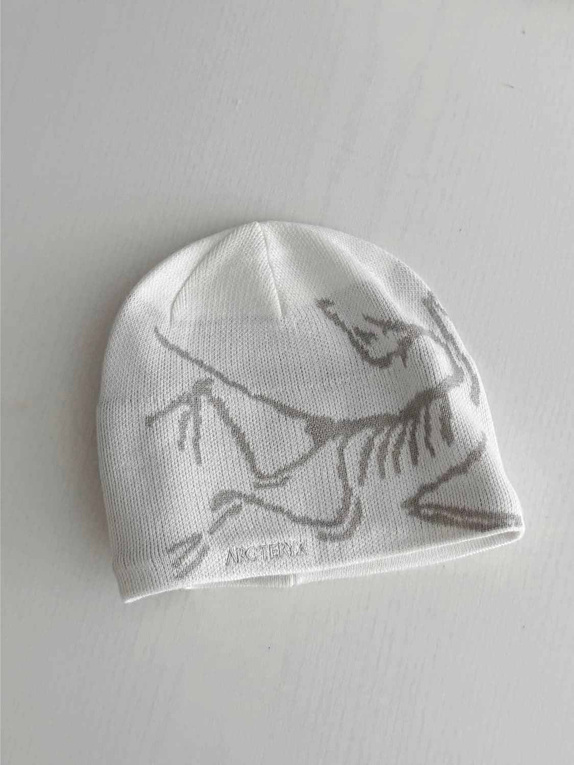 아크테릭스 비니 Arc'teryx Bird Head Toque Rune 상품이미지1