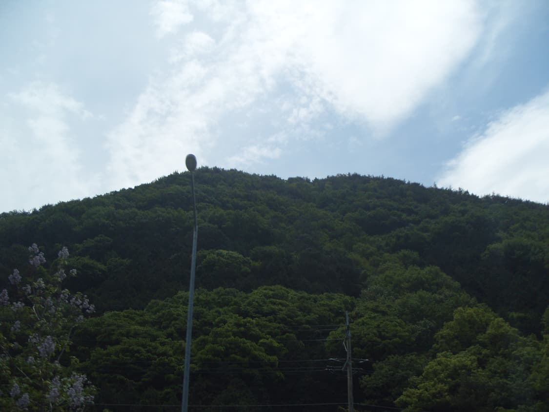 삼성 케녹스 s1050 상품이미지5
